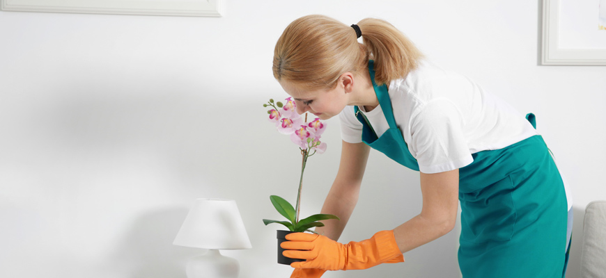 How to: deep clean your kitchen