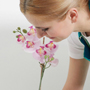 How to: deep clean your kitchen